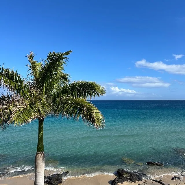 Fuertaventura (île Canarie)