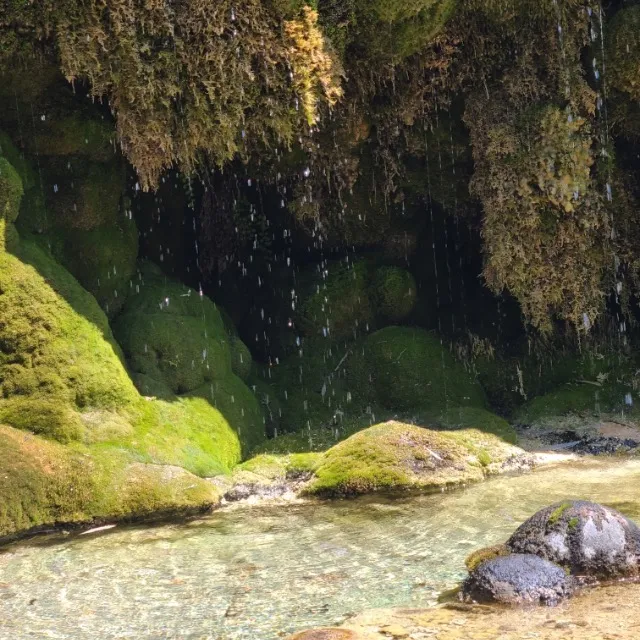 Jardin des fontaines pétrifiantes dans le Vercors