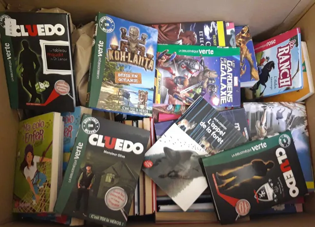 lots de livres jeunesse pour la bibliothèque de l'école