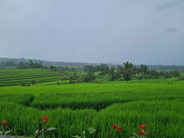 Bali