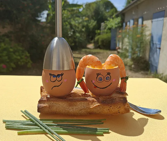 Pour les Toqués des œufs 🐔