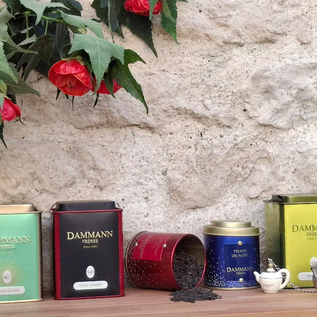 Tisanes-Thé  🍵☘️