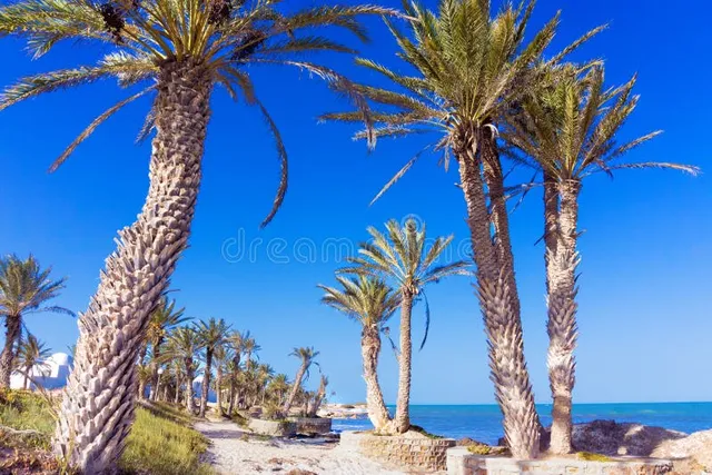 djerba Tunisie
