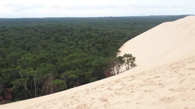 Visite de la côte Atlantique