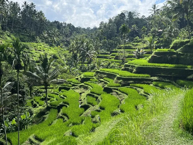 Bali mon plus beau voyage 😍