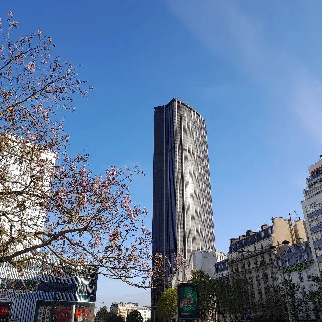 Sct COACH, un petit tout à Montparnasse