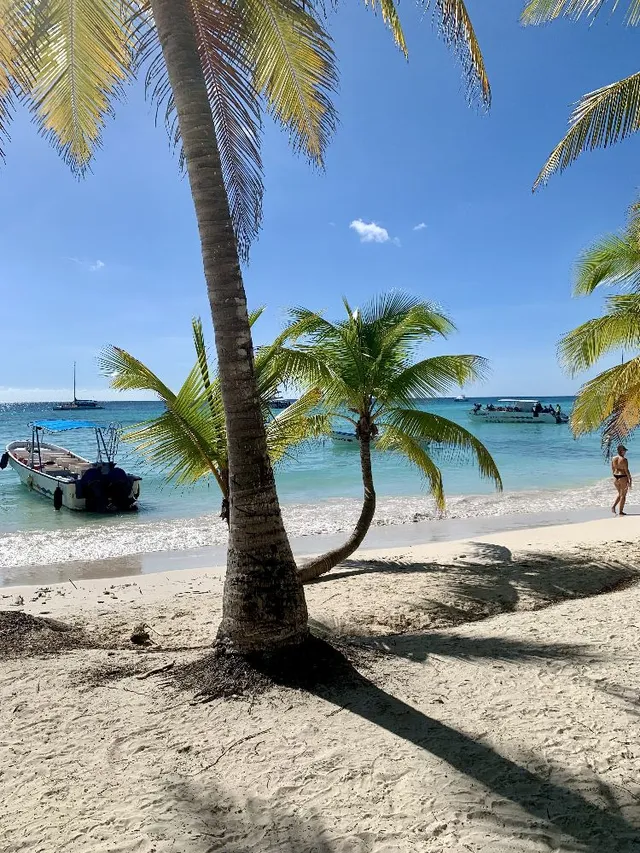 Île de saona