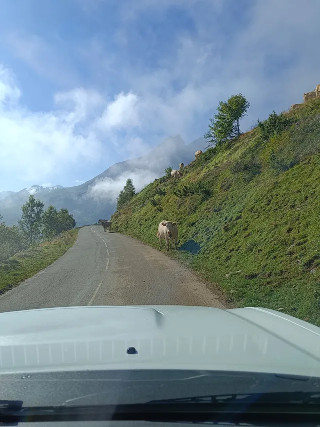 Vacances à la montagne