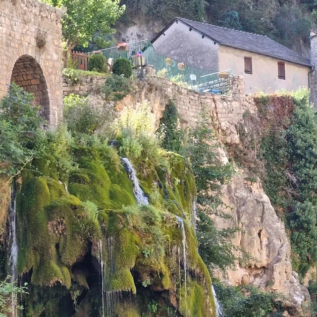 Les gorges du tarn