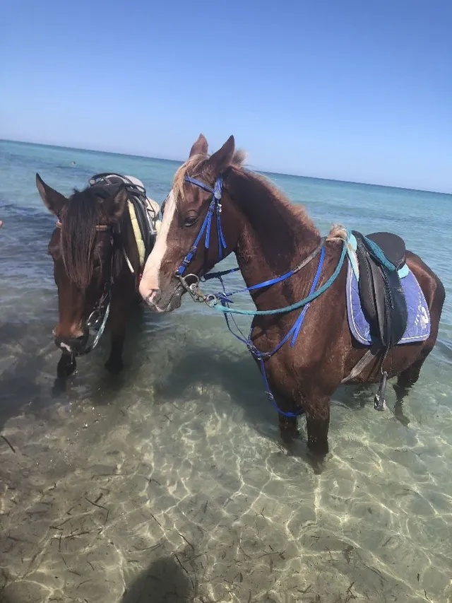 Souvenirs de Djerba