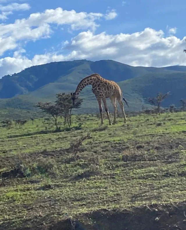 TANZANIE à l'autre bout du monde