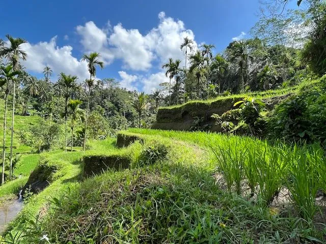 Bali