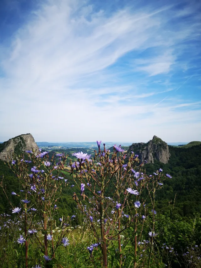 Confolant dans le puy de dôme