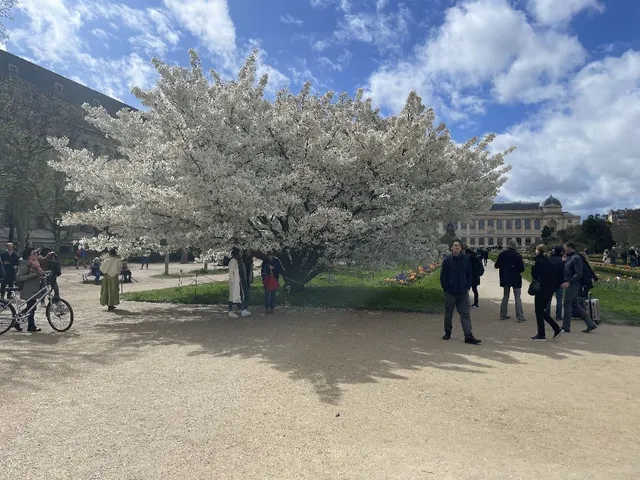 Paris la merveilleuse