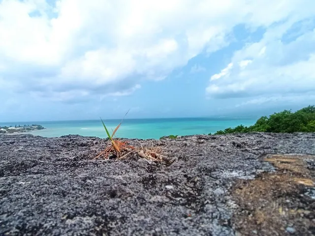 La Guadeloupe ❤️