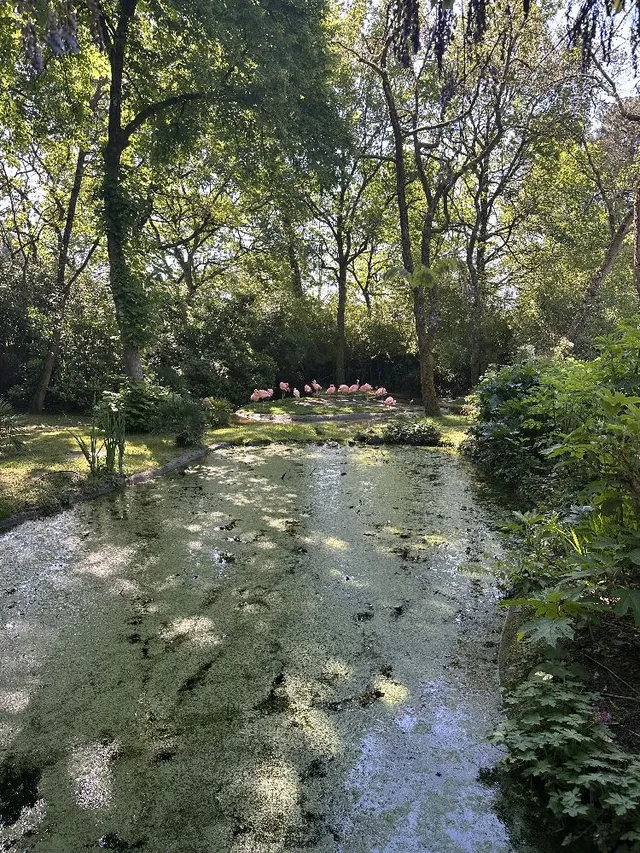 Nuit et jour au zoo de la flèche