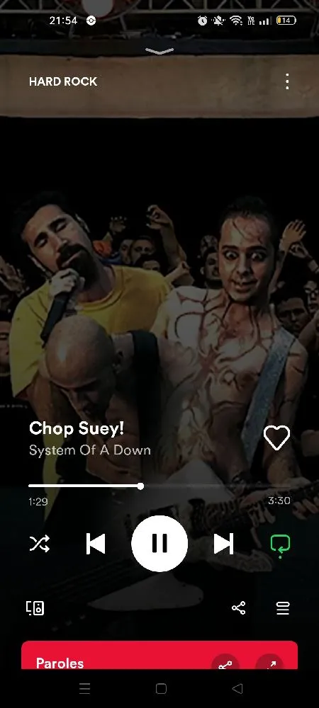 Chop Suey 🔥