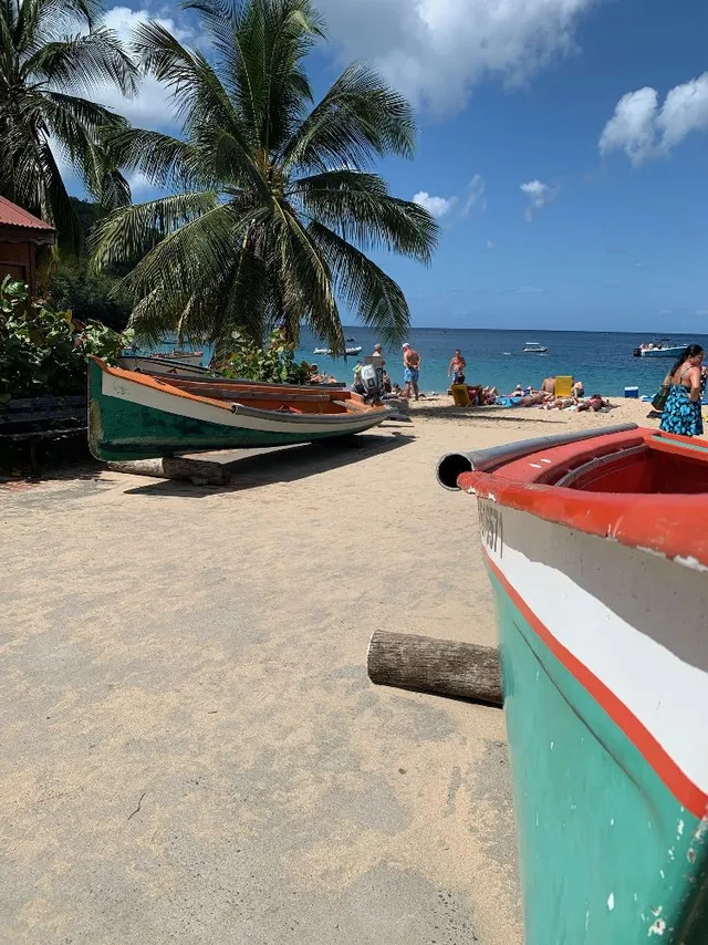 Martinque, l’île aux fleurs 🌺