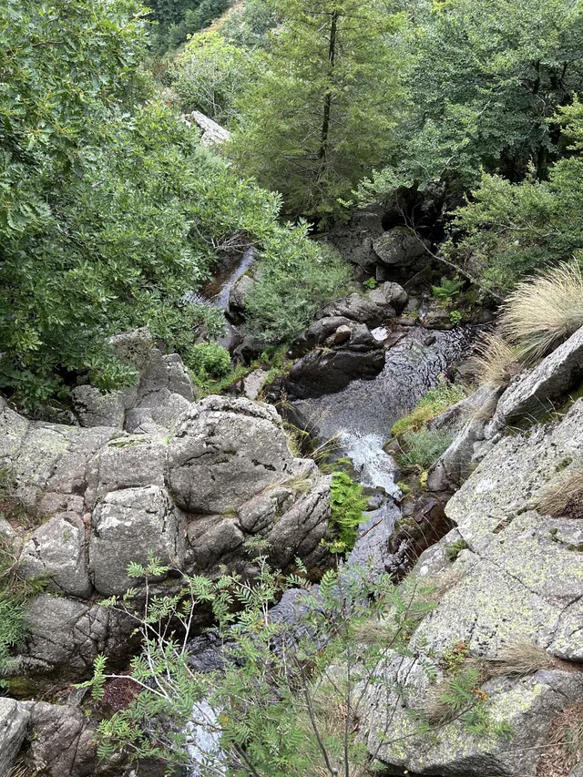 Les Cévennes