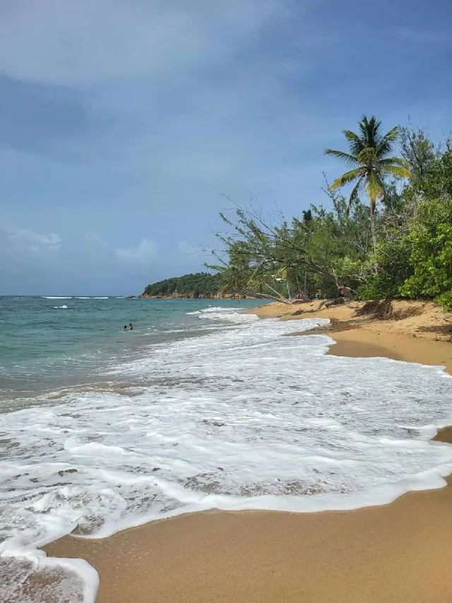 Retour aux sources en Martinique