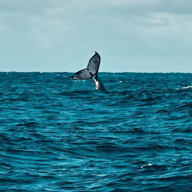 La Réunion