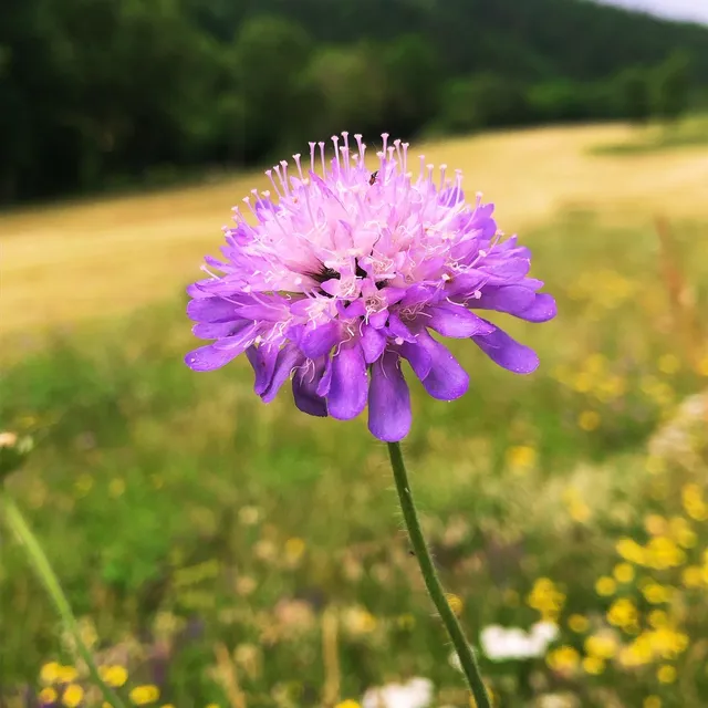 Beautés de l’Ardèche