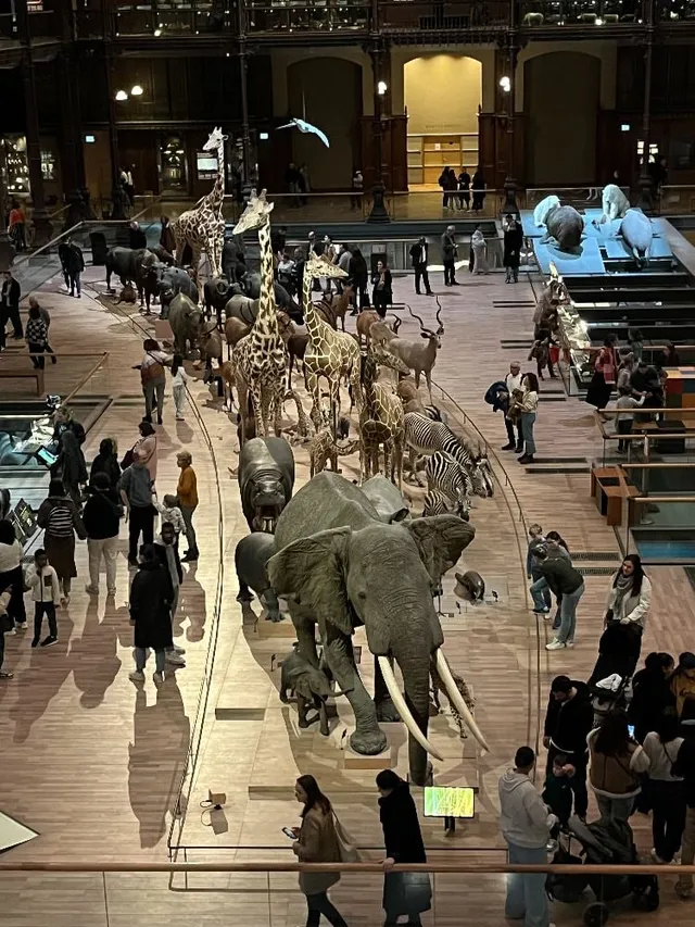 Le muséum d’histoire naturelle à Paris