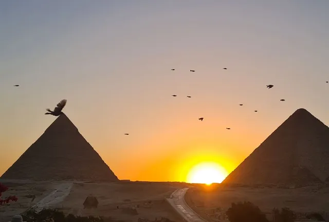 Survol d'oiseaux sur la pyramide de Kheops