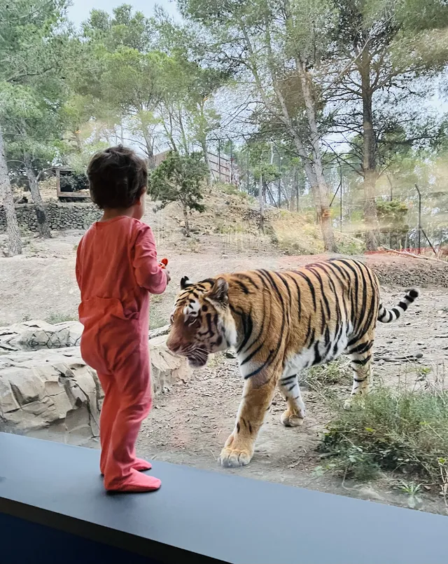 Week-end de rêve dans un parc animalier dans le Sud de la France