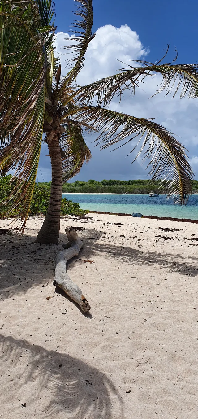 La Guadeloupe