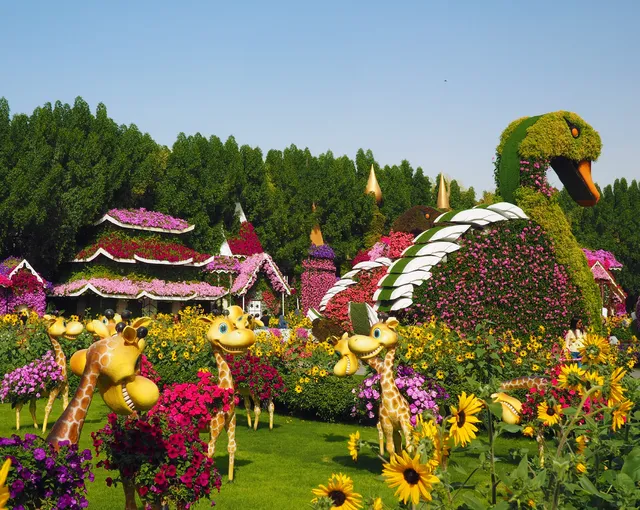 Dubai-Miracle garden