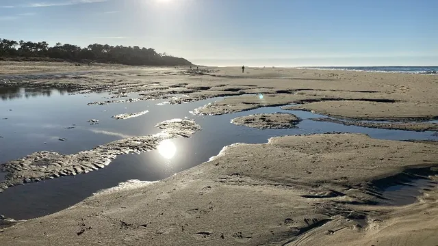 Une escapade saline au bord de la mer 🌊