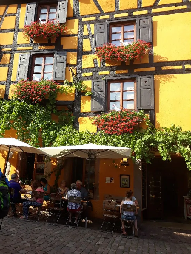 Découverte de l'Alsace et ses maisons colorées