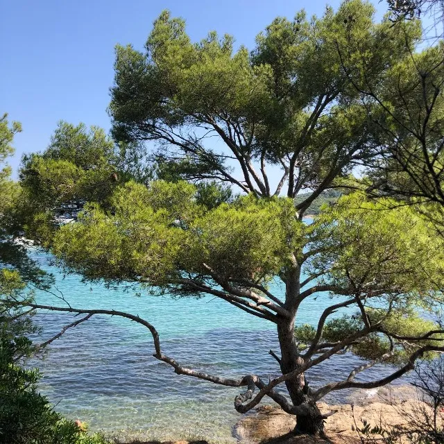 Ile de Porquerolles