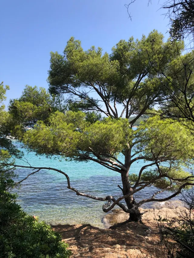 Ile de Porquerolles