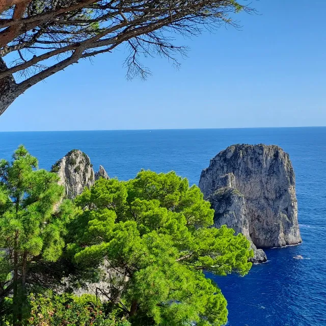 Capri  ❤️💕