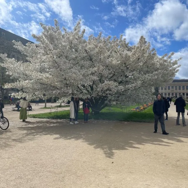 Paris la merveilleuse