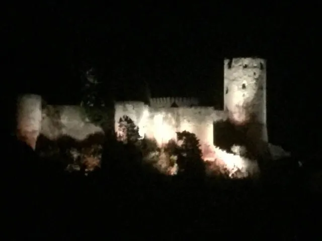 chateaux de chinon