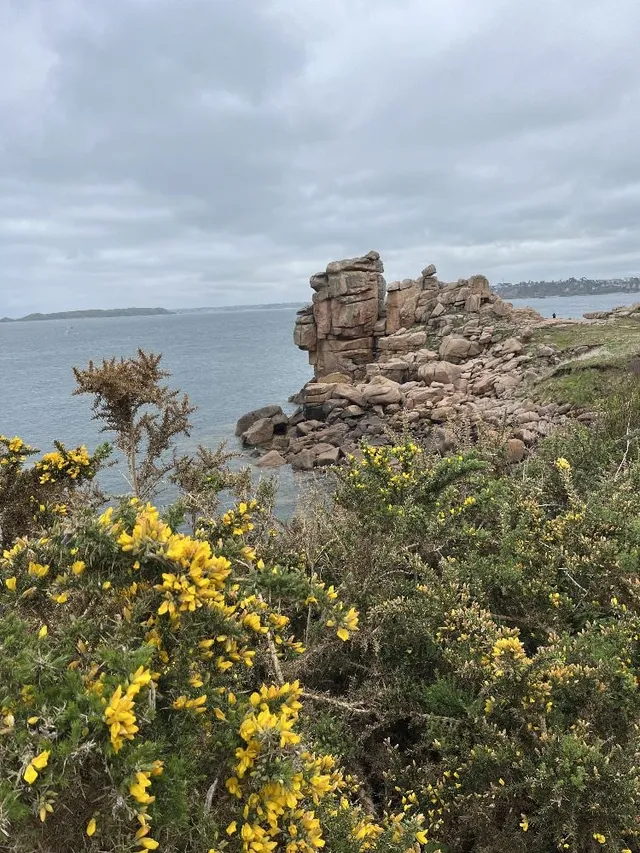 La côte de granit rose