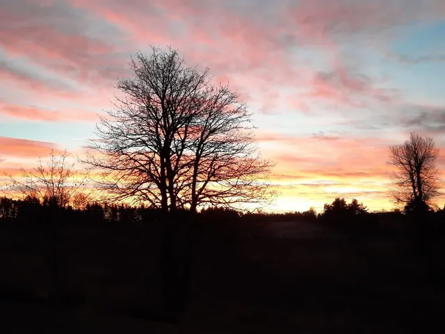 Escapades à la campagne