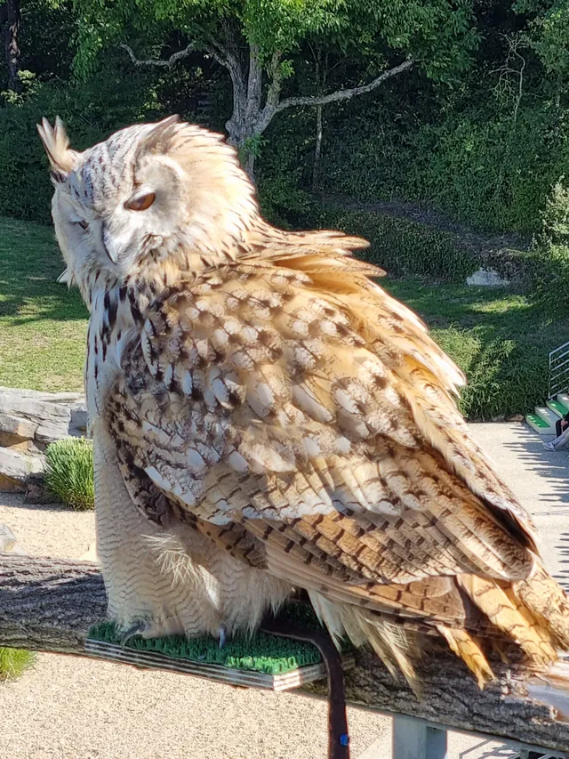 Zoo de Beauval (41)