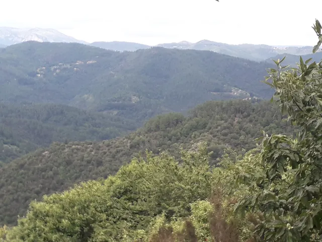 Les cévennes