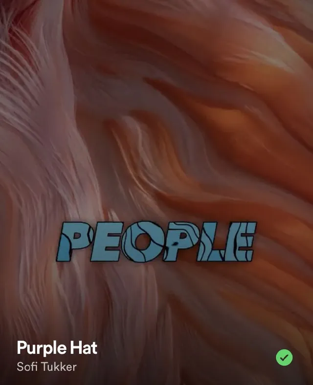 Purple Hat (Sofi Tukker)