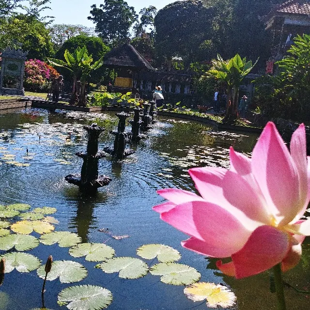 Le bonheur zen à Bali