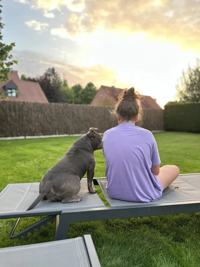 On a un américain bully micro qui se prénomme Blue , la