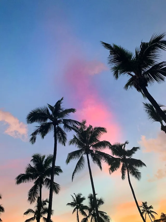 Inoubliables Seychelles 🏝️