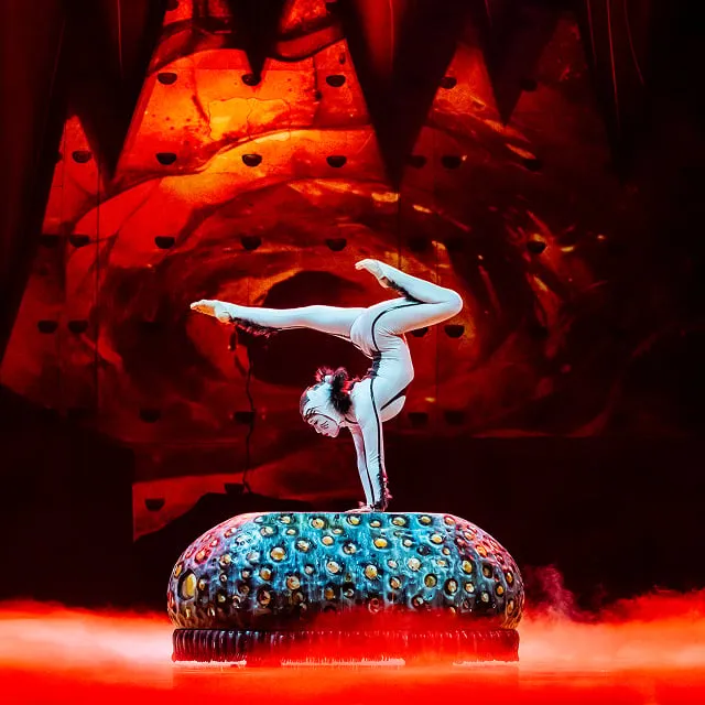 Le Cirque du Soleil fait son show 🎪