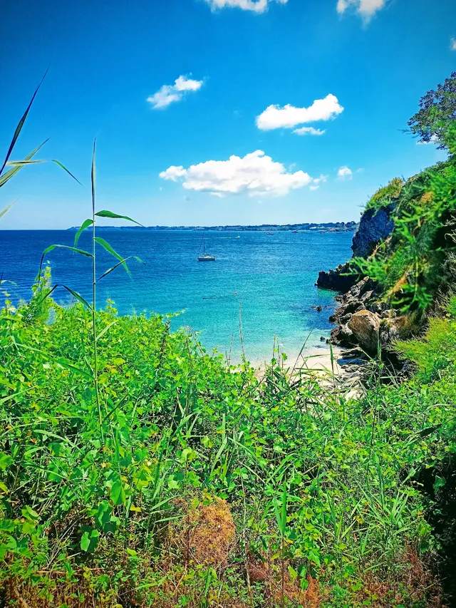 Je recommande BELLE ILE EN MER
