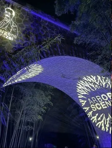Arborescences spectacle son et lumière