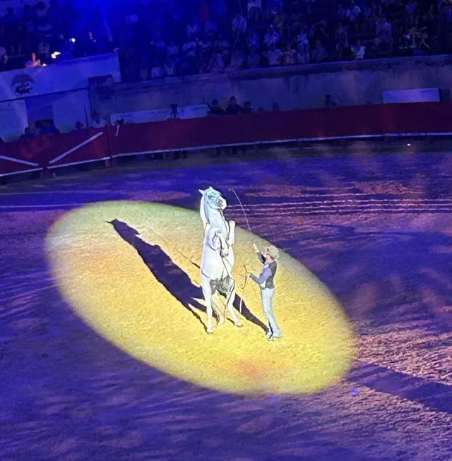 Arènes de Nîmes Lorenzo et Friends